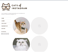 Tablet Screenshot of catsofinstagram.com